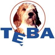 teba