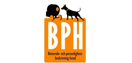 Krav för deltagande BPH - Örkelljunga